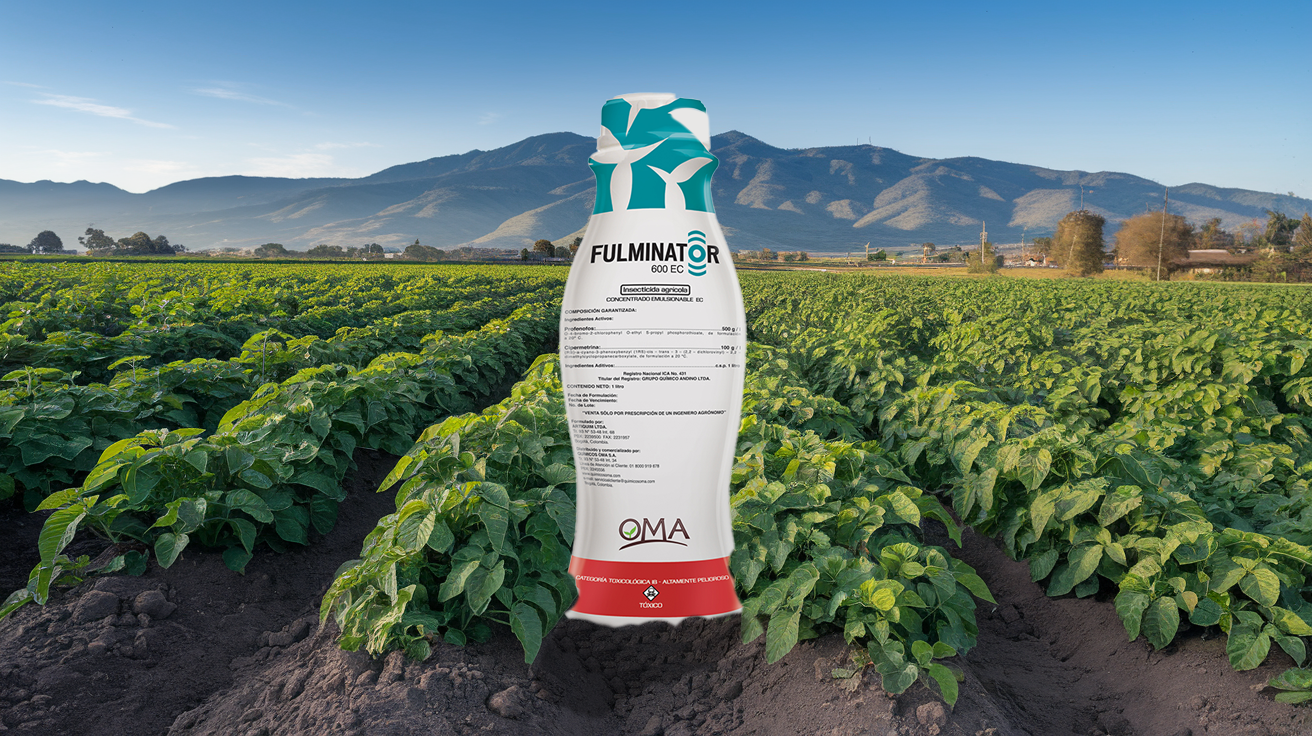 FULMINATOR 600 EC protegiendo cultivos de papa y tomate en Nariño