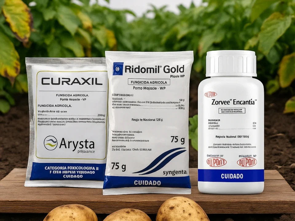 Fungicidas Curaxil, Ridomil y Zorvec Encantia sobre cultivo de papa en Nariño para controlar tizón tardío