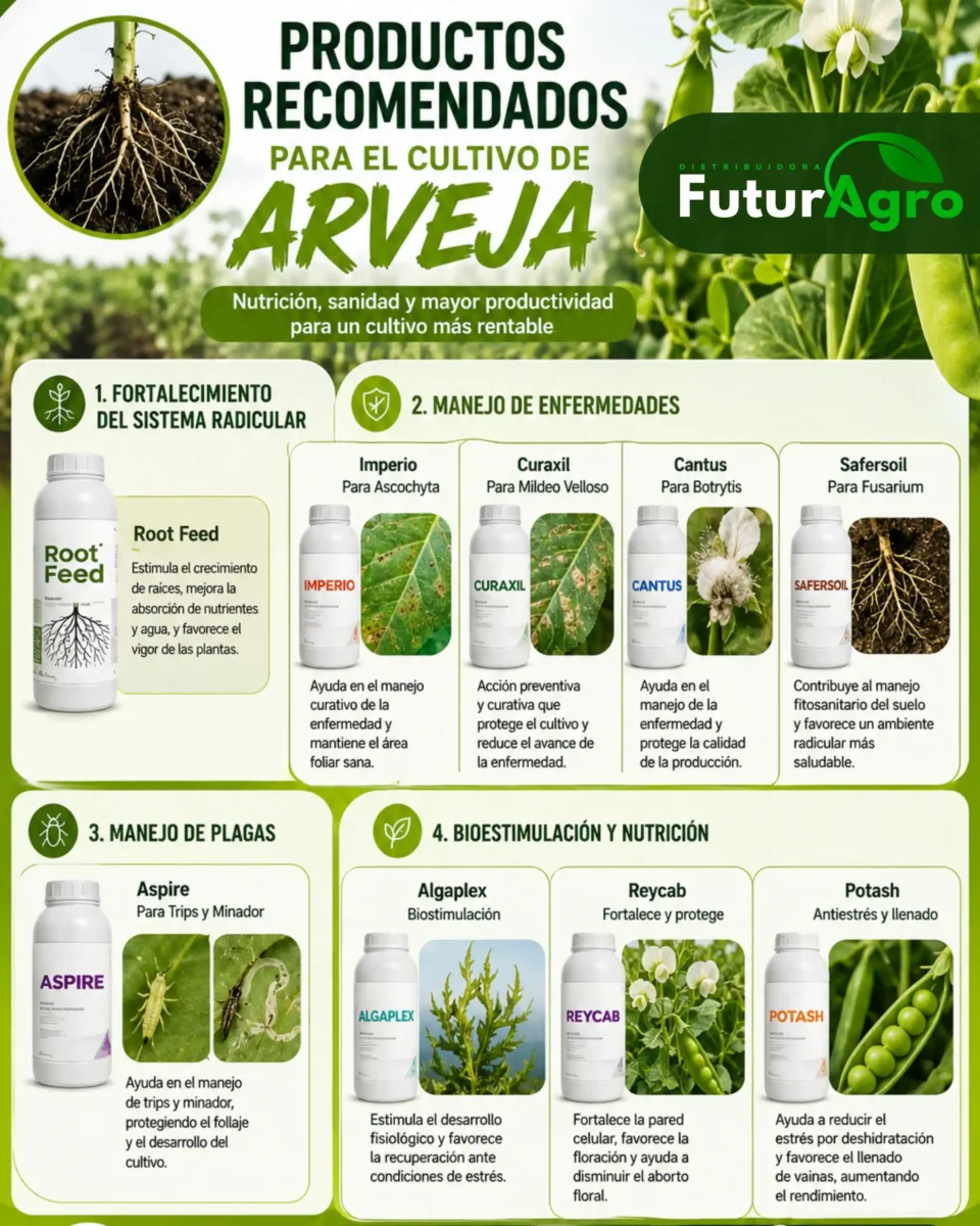Infografía mostrando las principales enfermedades y plagas de la arveja en Nariño junto con productos de bioestimulación recomendados por etapa del cultivo
